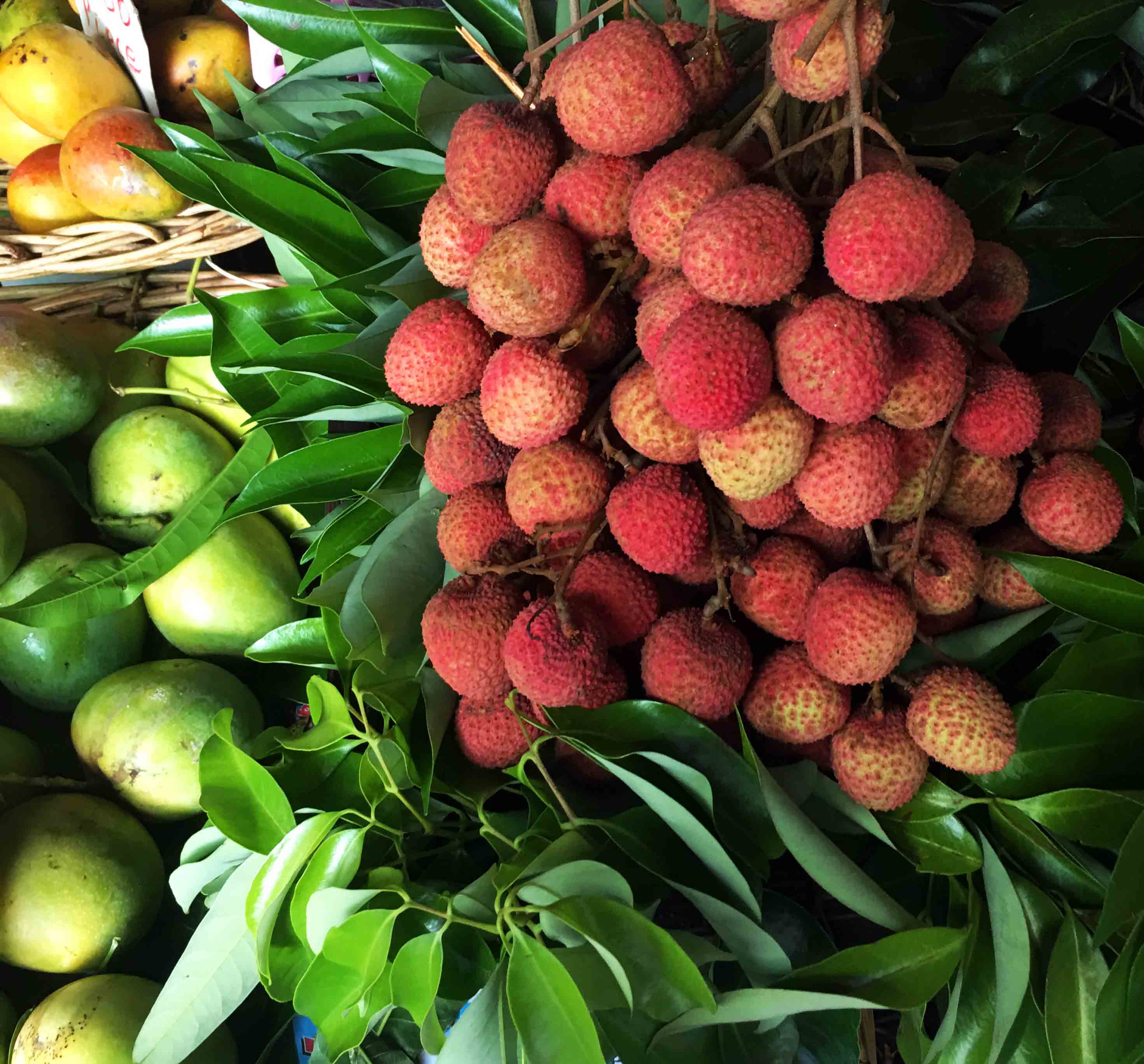 marché de port louis ile maurice fruits