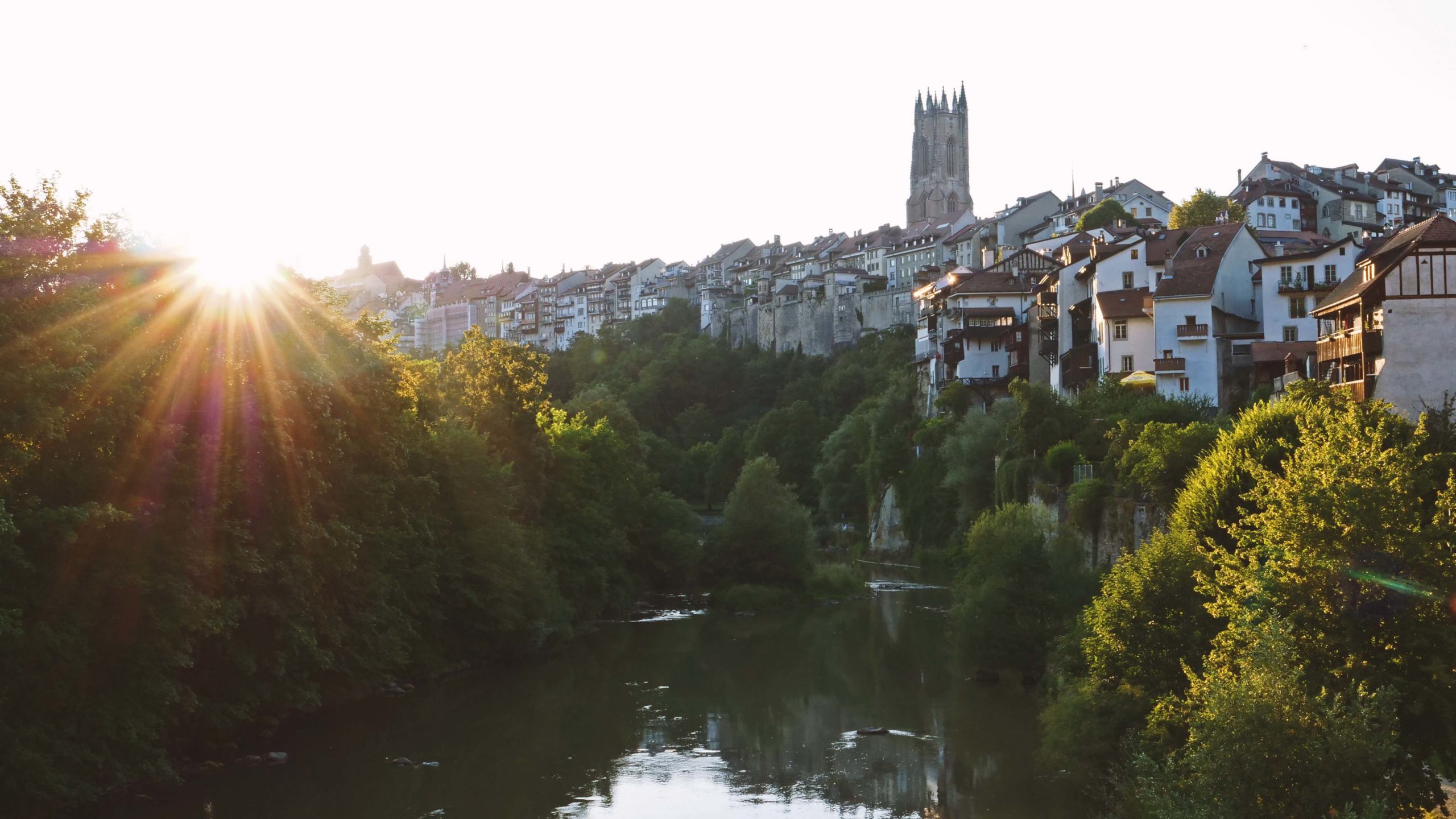 fribourg laurie medina